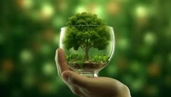 Proposta di Delibera per il Risanamento e la Riorganizzazione del Progetto di Forestazione Extra Urbana: Misure Urgenti e Strutturali per l'Utilizzo Efficiente dei Fondi Piano Nazionale di Ripresa e Resilienza (PNRR)